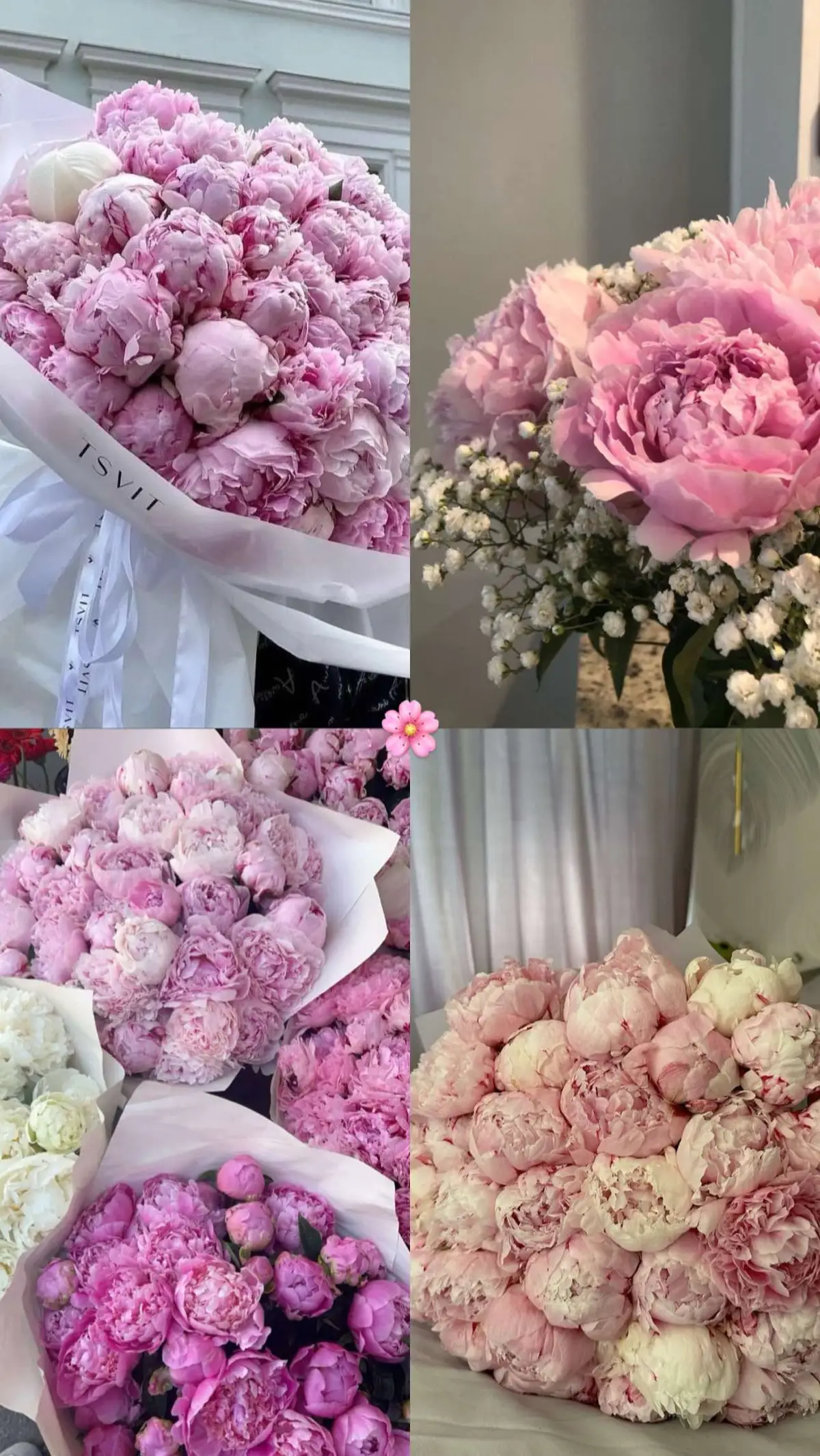 #flowers #peonies #tulips #girls #Love