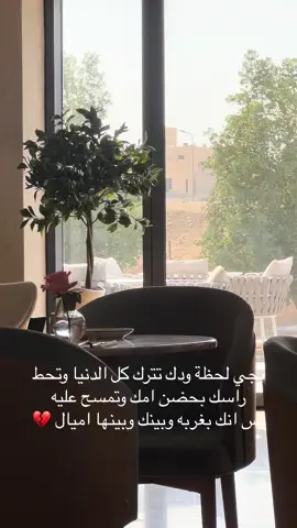 شنسوي 🥲