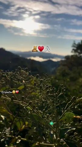 #viralditiktok #atardeceres🌅 #foryouu #atardeceres🌅 #viraltiktok #humor 