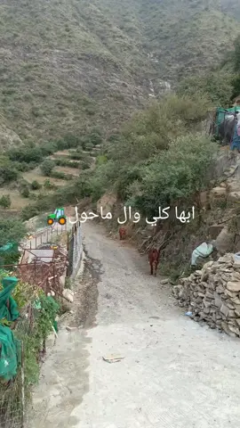 #village #life #saudiarabia🇸🇦 #swezarland🇨🇭 #lile follow for more than just videos🌺🌺🌺