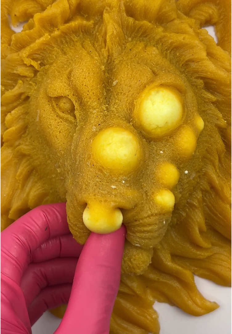 We tested acne treatment on lion models.#artificialskin #siliconemodel #education #oddlysatisfying #pimplepopping #relaxingcontent #skincaretips
