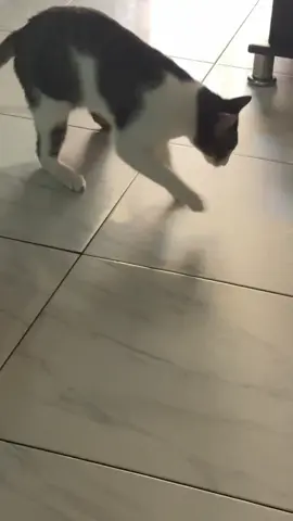 🤨