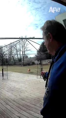 He didn't stay 😅 #afv #funnyvideos #caughtoncamera
