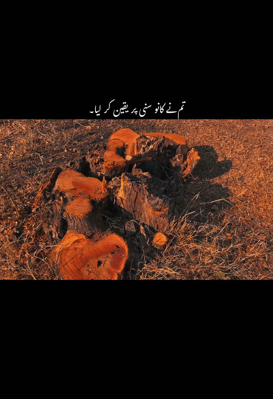 تم نے لوگوں کی باتوں پر یقین کیا ۔💔😭 #foryoupage #fyp #trending #1millionaudition #aesthetic #grow #account #hehe_feroz 