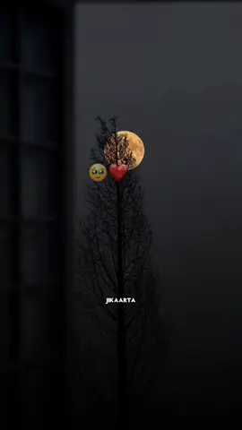 Repost taabo sxb👏🥰 #abwaan #hadraawi #gabay #jikaarta #fristvideo #lyricsedit #dark #duett #viral #viewschallenge #view 