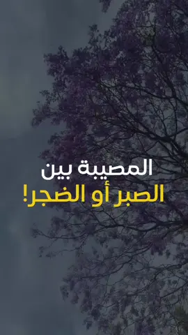 المصيبة بين الصبر أو الضجر #آيتين_وكلمتين 
