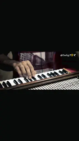 سب سے پہلے آواز بنی،  آواز کے اتار چڑھاؤ سے سر بنے،  سروں کے سنجوگ سے بول نے جنم لیا اور پھر راگ کی ڈوری میں بندھ کر بول گیت بن گیے۔  میراجی #موسیقی #ساز  #❤️🌻 