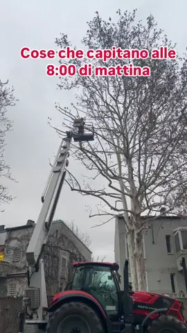 Quando vai a camminare in cerca di tranquillità e ti trovi il BIOTRITURATORE o BIOMACINATOREin azione 😂 Si tratta di una macchina che trita e sminuzza i residui della potatura, come ad esempio foglie, rami grandi e piccoli e in generale legno, pezzi di tronchi e arbusti #biotrituratore #biomacinatore #giardinaggio #potatura #sanfelicesegrate #milanosanfelice #segrate 