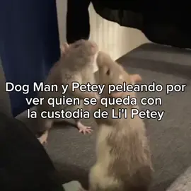 #DOGMAN// al final a ambos les tocó compartir la custodia de Li'l ADACAGSHSHAGA #dogmanmovie #davpilkey #davpilkeydogman #peteythecat #dogmanxpetey #dogmanmovie #dogmanpetey #dogmanlilpetey #lilpetey #foryoupage #humor #fyp 