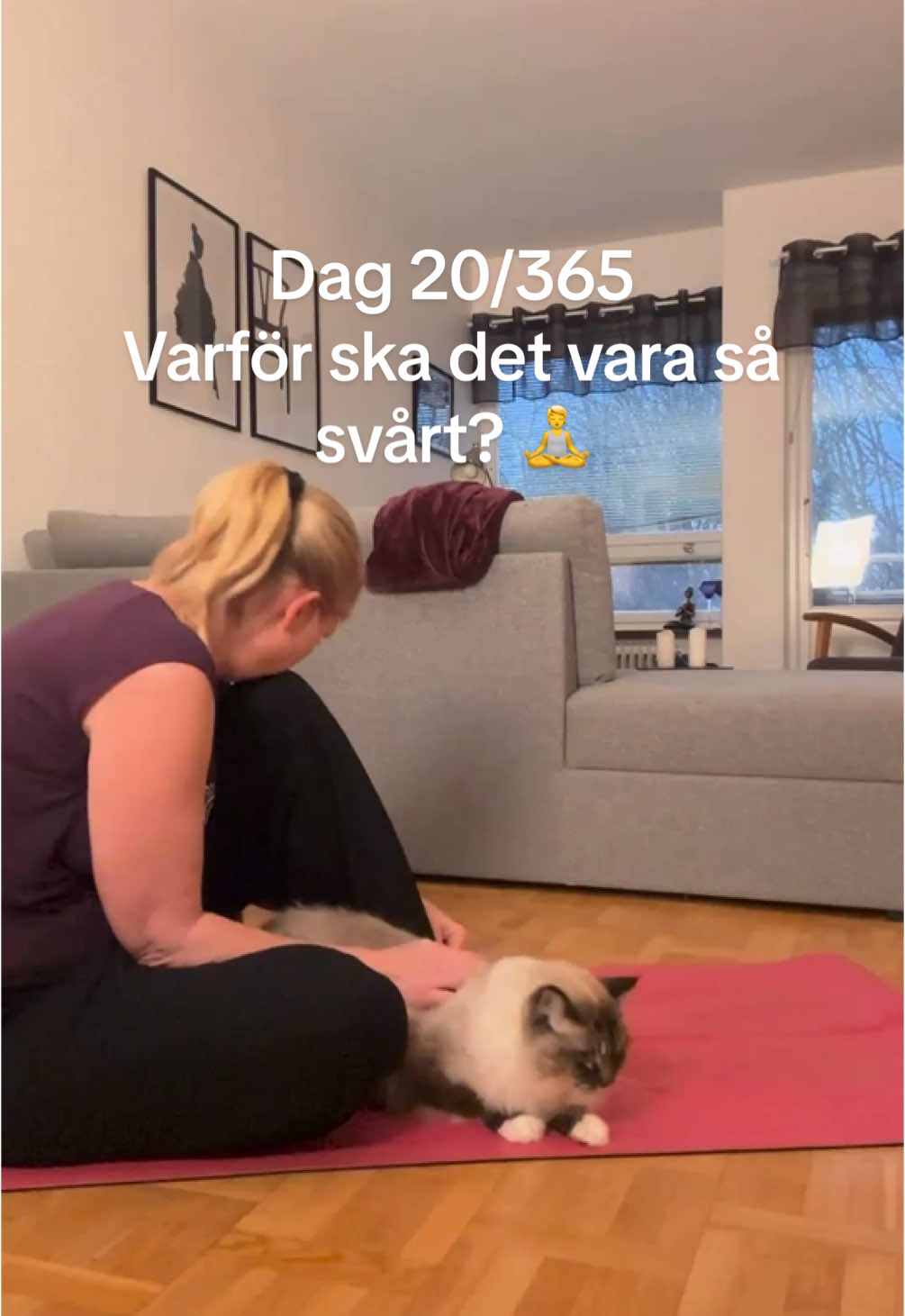 Dag 20/365: Helt hopplöst efter minsta lilla avsteg från rutinen. Men jag yogade idag och det var precis vad jag behövde 🥰 Snart dags att börja utmana mig själv lite mer och lära mig nya positioner. Har du något tips till en nybörjare?🧘 #minyogaresa2025 #50plusontiktok #fördig #fördigpage #nofilter #yogautmaning #yogabeginner #yoganybörjare #foruyou #självkärlek #yogaforover50s #CatsOfTikTok #ragdollcat #yoga 