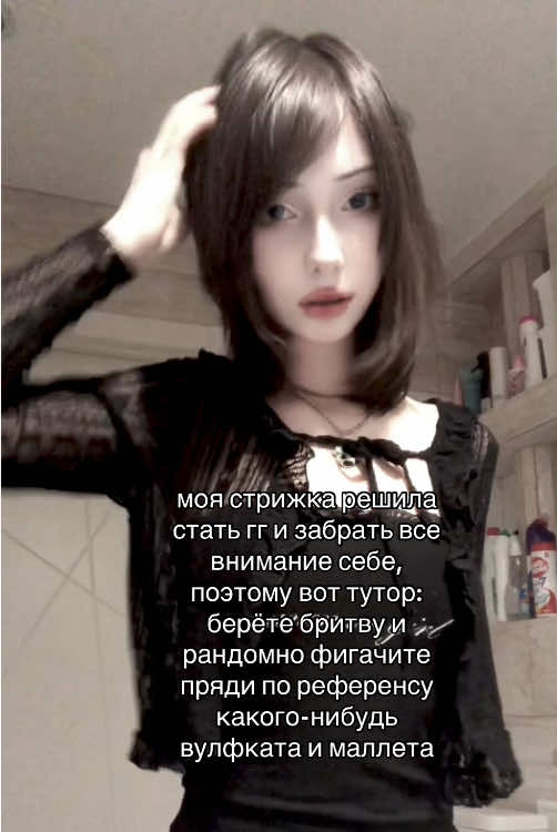 я хазе друзья #haircut #щитпост #fyp #on #meow #mullet #wolfcut 