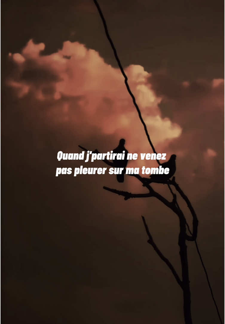 La fouine - Quand je partirai  #lafouine #quandjepartirai #lyric #lyrics_songs #lyricsmusic #lyricsedit #visibilité #pourtoi #video #viral_video #fyp #pmv 