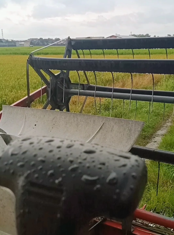 niat,nekat mangkat#mesinpotongpadi #combineharvester #kombisawah 