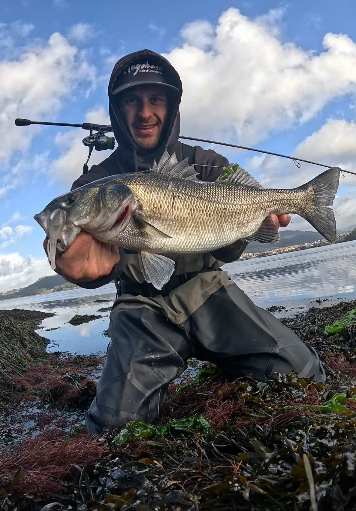 🦑 NIKKO DAPPY FIREFLY SQUID 🦑 Me gusta pescar con todo aquello que no veo en otras cañas colgado, este señuelo creo que se va a convertir en un  gran competirdor para este 2025. Que pensáis vosotros ? #pesca #pescaria #pescador #lubina #spiningpesca #spigola #seabassgame #felicidad #fishinglife #cachandrealese #robaliza #peche 