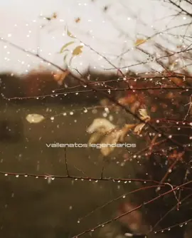 #vallenatoslegendarios #yovivosolo #faridortiz #vallenato #vallenatos #vallenatosyestados @Farid Ortiz 