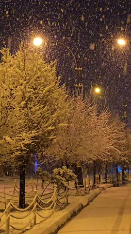 سەرم بەفرەو کەچی ھێشتا شەڕە تۆپەلمە بۆ یاری...🤍 #foryou #foryoupage #bafr #snow #slemany #penjwen 