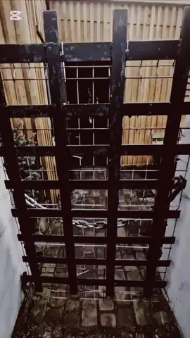 #trening #brzoza #zapierdalac #najlepsi #wikingdocieplenia #bydgoszcz #oldgym #mordex #bodybulding #armresling #silownia #domowa #gym #viking #wiking 