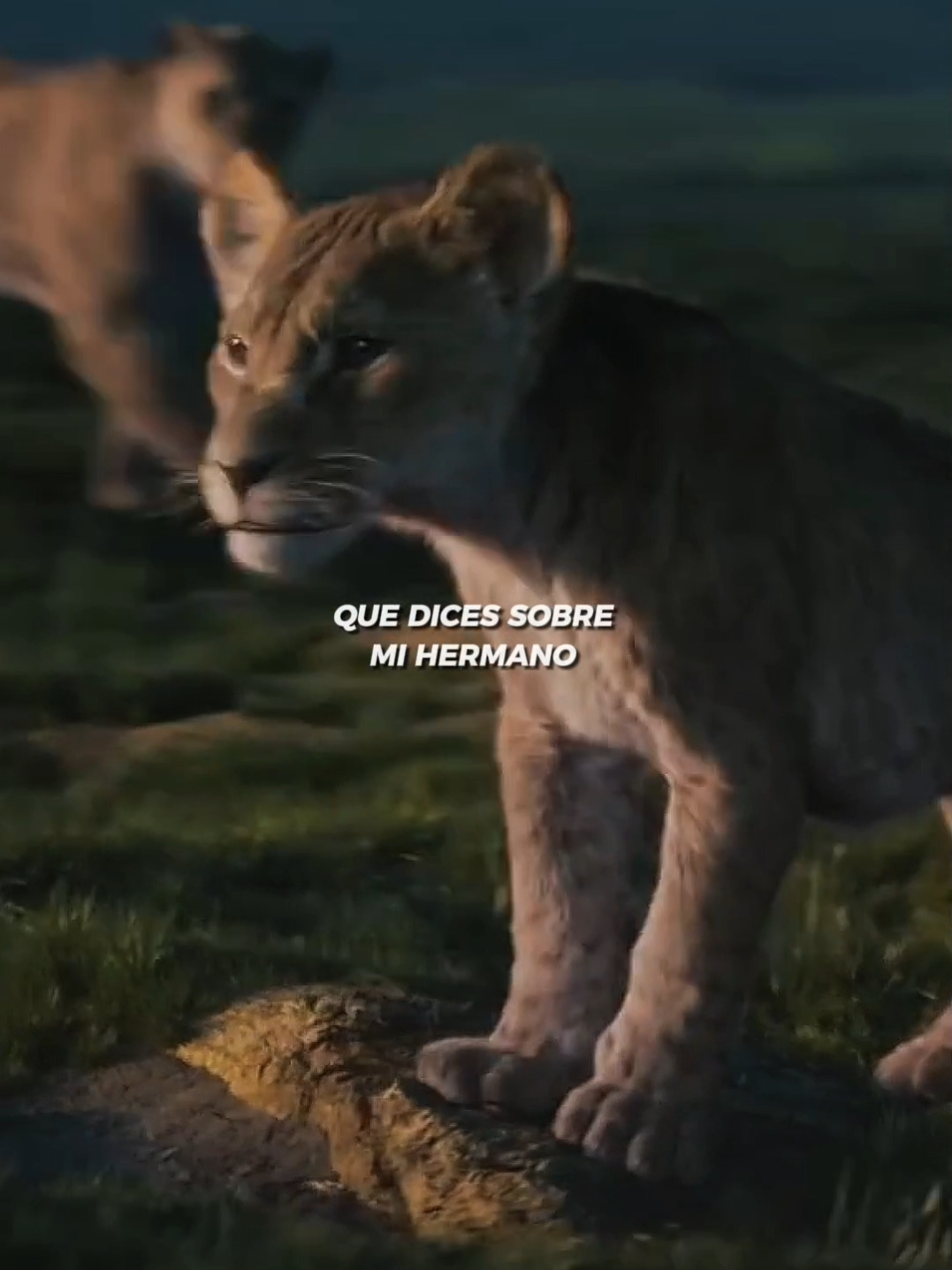 Yo siempre quise un Hermano 