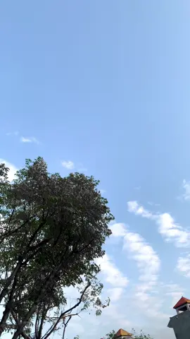 میں دل لکھوں تو دل تھامیں  میں گم لکھوں تو کھو جائے  🥺🥀 #fyp #foryou #fyppppppppppppppppppppppp #foryoupagee #foryoupagee #foryoupagee #foryoupage #foryoupagee #foryoupagee #foryoupagee #foryoupagee #foryoupagee #foryoupagee #foryoupagee #foryoupagee #foryoupagee #foryoupagee 