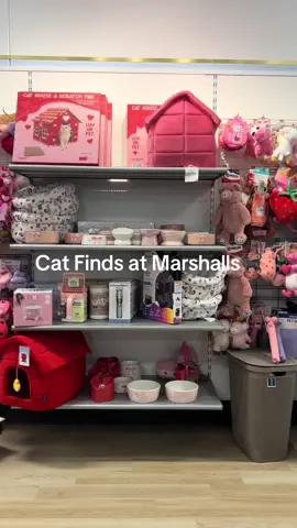 #catfinds
