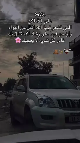 #ستأتي #تلقاء #الجهود #بغداد #شارع_فلسطين #كلمات #لحن_قديم #نهايه #العراق 