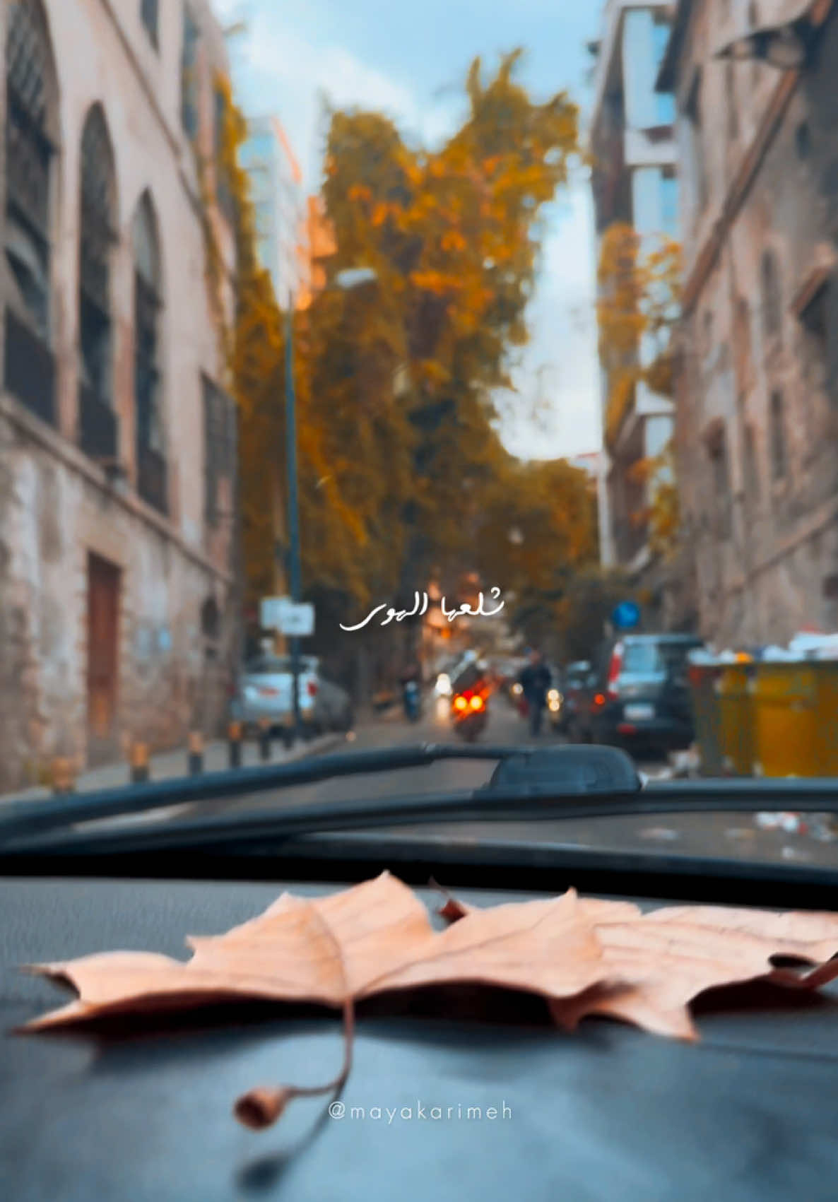 قصتنا الغريبة 🎶 #فيروز #فيروزيات #fairouz #fayrouz #lebanon #streets #vintage #beirut #بيروت 