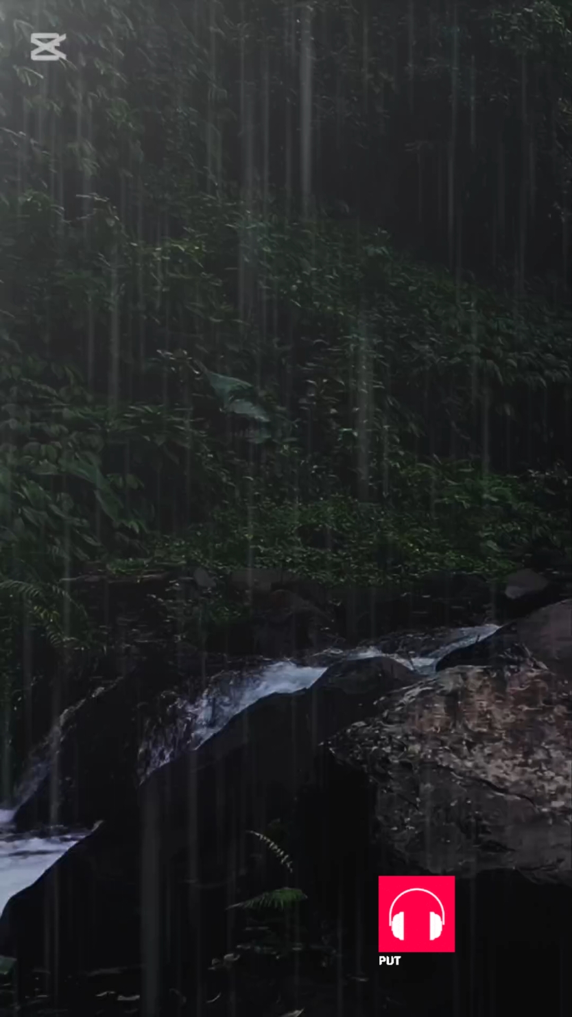 Arash feat & Helena broken angel 2008! #arash arash #brokenangel #songs #asmr  #nicesong  #musicas  #romanticsong  #nostalgic  #2000music  #tiktokmusic  #Flashback  #maycondiadia  #lyrics_songs  #foryou  #imsolonelybrokenangel #brokenangel  #imsolonely #fyp #fypage  #musicvideos #trendingsong  #sunset #melissakellydilger  #foryoupage #foryou #viralvideo  #lyrics_songs   listen to the rain in the forest,  #rainmusic #rainyday #rainsound #relaxingsounds #relaxingmusic #relaxingvide  #relaxingmusic #relaxingvideos  #sleepmusic  #naturesounds #forest  #rainsoundsforsleeping #heavyrain @world music @world music @world music #CapCut 