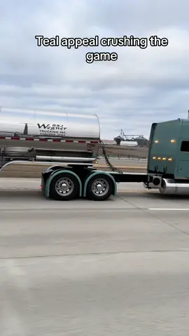 😮‍💨 she tight #trucking #truckinglife #379peterbilt #largecar #