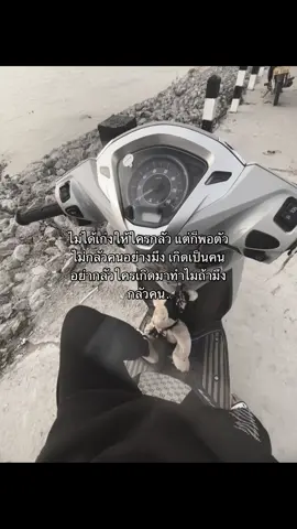 พอตัวไม่กลัวมึง#ທ່າແຂກດິວ່ະ 