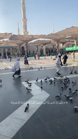 ... ﴿ ۞ وَأَيُّوبَ إِذْ نَادَىٰ رَبَّهُ أَنِّي مَسَّنِيَ الضُّرُّ وَأَنتَ أَرْحَمُ الرَّاحِمِينَ﴾ 