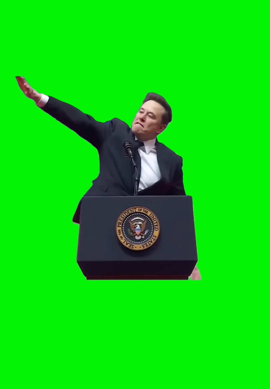 Elon Salute | Green Screen #elon #elonmusk #tesla #spacex #trump #donaldtrump #inauguration #meme #memes #fyp 
