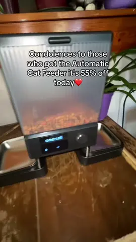 The convenience of this automatic feeder is amazing @‌oneisallofficial #automaticcatfeeder #tiktokfinds #oneisallofficial #catsoftiktok #tiktokmademebuyit 