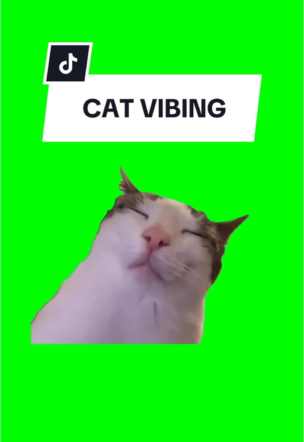 #CapCut CAT VIBING. #greenscreen #greenscreenvideo #greenscreenoverlays #fyp #fyppage #fypシ❤️💞❤️ #meme #memes #memestagram #freefirememe #memepage #viral #viralvideos #viralreels #viralvideo #viralpost #meme2024 #cat #cats #catsofinstagram #catlover #catmemes #catmeme #trend #trending #viralcats #catvibing 