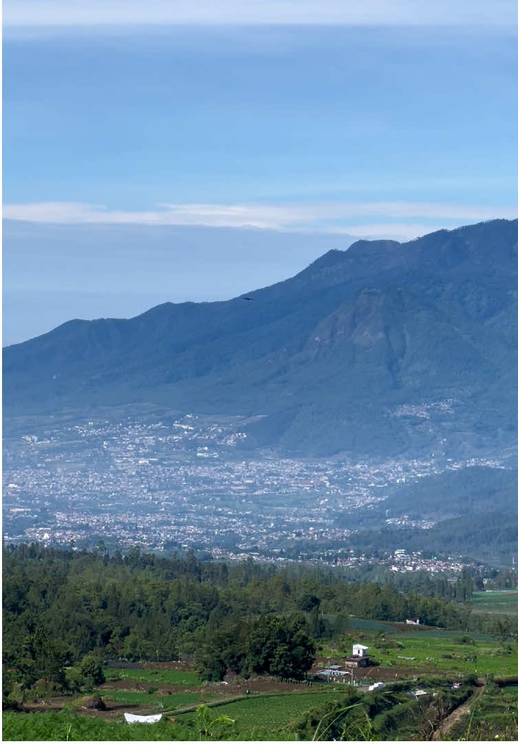 Sejauh ke manapun kamu terbang, jangan lupa untuk kembali pulang. 