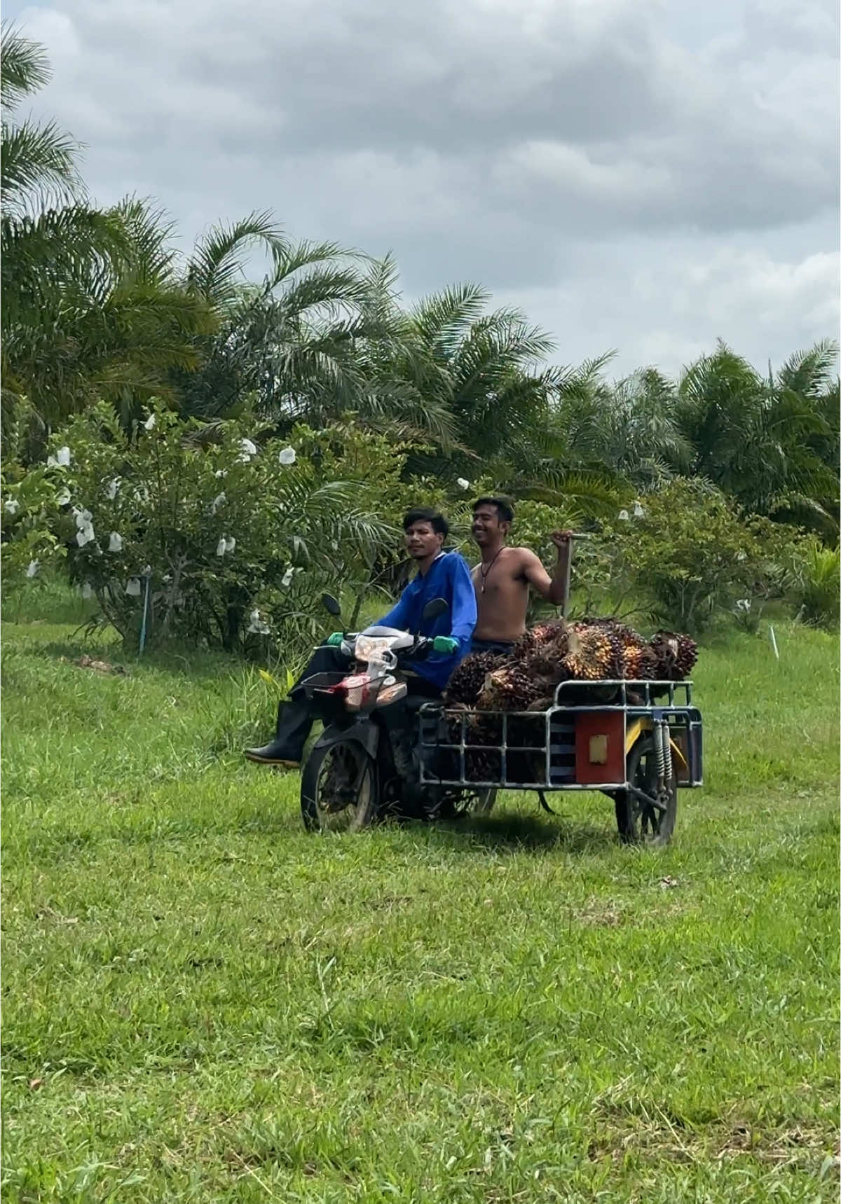 👨🏽‍🌾 #พลังทีมชาติ #หนุ่มพัทลุง 