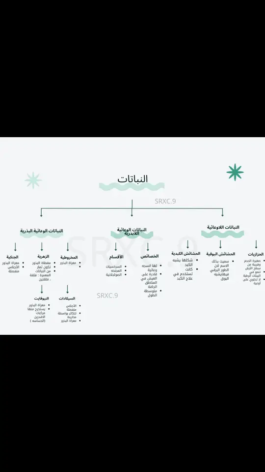 #explore #fyp #school #احياء #خريطة #الشعب_الصيني_ماله_حل😂😂 