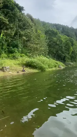 ampun di bully suhuu🙏🏻🫣#mancing #maguro #telagangebelponorogo #ponorogo24jam #mancingtelagangebel 