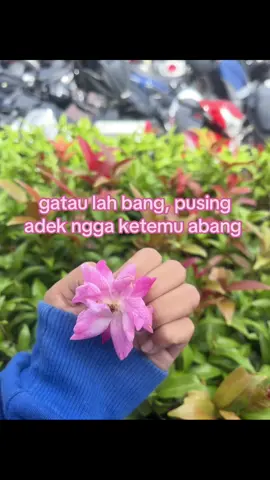 dunia adek hampa kali bang #fyp #ibkkfyp 