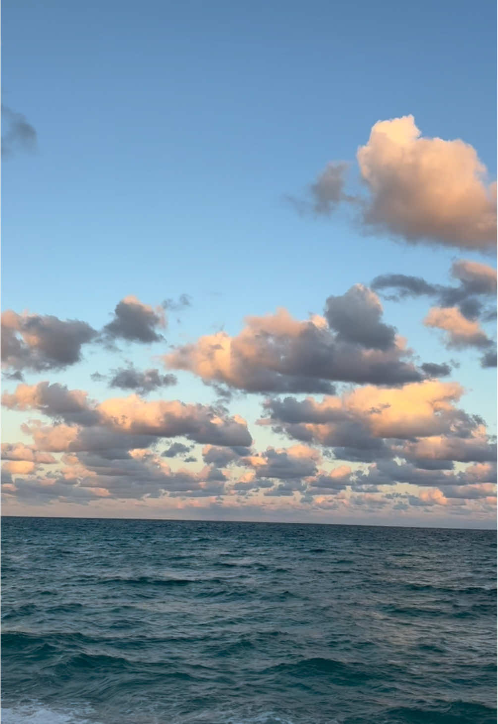 The bird so majestic #thecutthatalwaysbleeds #southbeach #southbeachmiami #miamibeach #sunset #beach #water 
