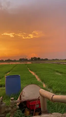 re-post  #nature #sunset #story #myday #trending #vibes #peacefull 