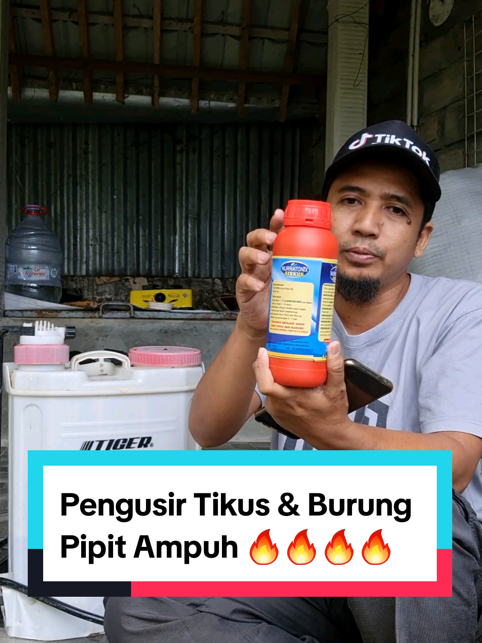 Membalas @dessymayang83 Nurratonix Sirkus Pengusir Tikus Burung Pipit Dan Wereng yamg Sekaligus Menjadi Pupul Bag i Tanaman Kita Harganya Dari 100ribuan ini Tinggal 50.000 an Aja #cairostore #pengusirtikus #pengusirtikusampuh #pengusirtikusmurah #pengusirtikusviral #pengusirburungpipit #pengusirburungsawah #rekomendasi #racuntiktok #berandatiktok #belilokal #cuantanpabatas #bismillahfyp #fypage #fypシ 