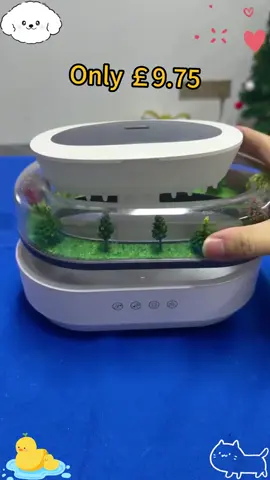 I recommend this plantscape essential oil diffuser with rain! Novelty night light that changes 8 colors, rain drop spray humidifier with white noise, home decoration!