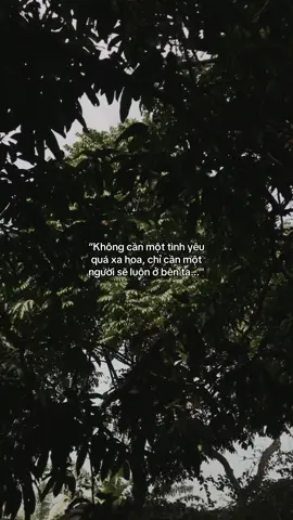 ...#tamtrang #story 