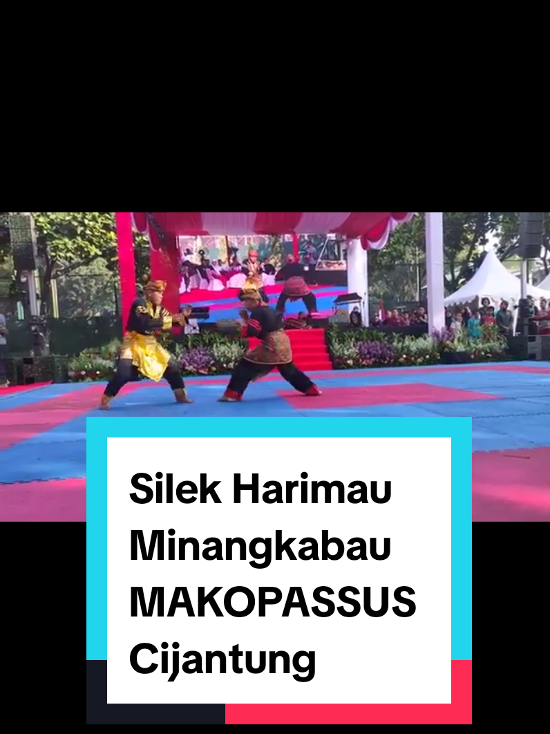 Penampilan Silek Harimau Minangkabau di Festival Silat Tradisional yg diselenggarakan oleh TNI AD di MAKOPASSUS, Cijantung, Jakarta. #pencaksilat #silat #selfdefense #martialarts #tniad #fp2sti 