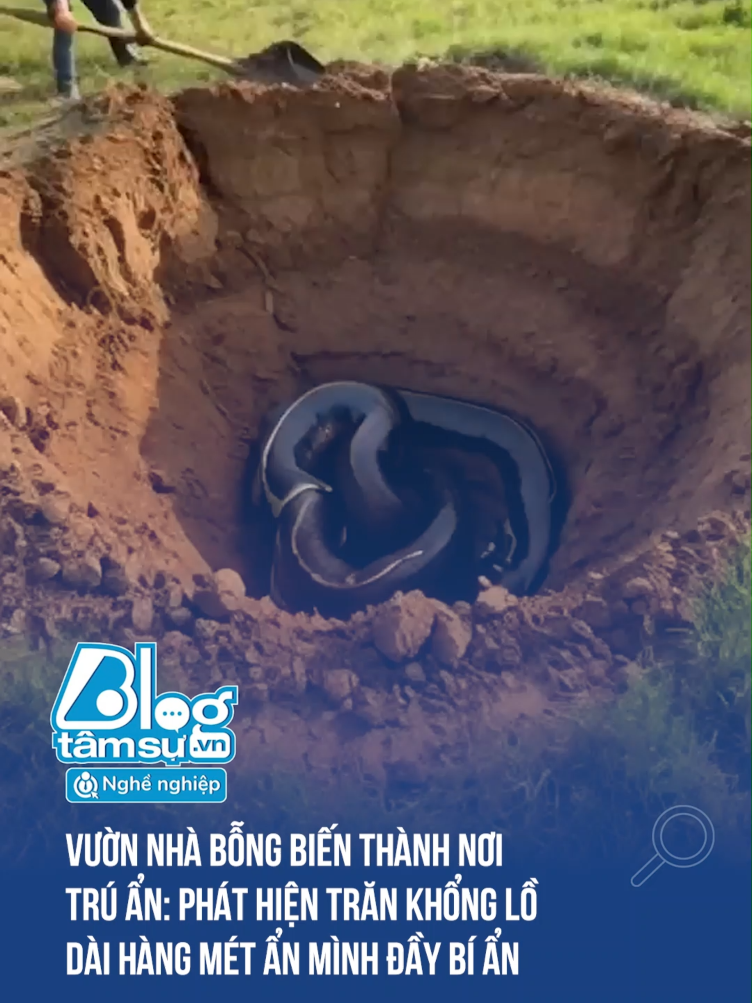 Vườn nhà bỗng thành nơi trú ẩn của 