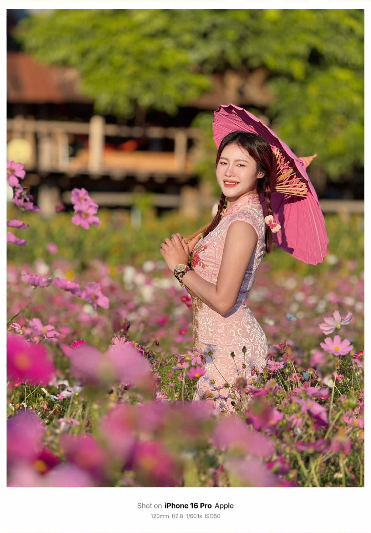 ถ่ายรูปที่ทุ่งสวนดอกไม้สวยๆ #ช่างภาพนะฮราฟฟู่ว #สอนถ่ายรูป #ถ่ายไงได้งี้ #เทคนิคดีบอกต่อ #iphone #16promax 