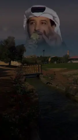 دونك جمال الحياه ما عاد يغريني🩵 #عيضه_المنهالي #fyp #حكاية_الحب #foryou #ديانا_حداد #fypviral 