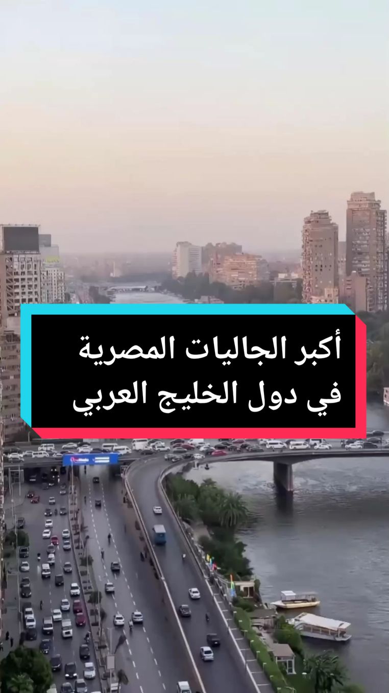 أكبر الجاليات المصرية في دول الخليج العربي #مصر #السعودية #الامارات #الكويت #قطر #عمان 