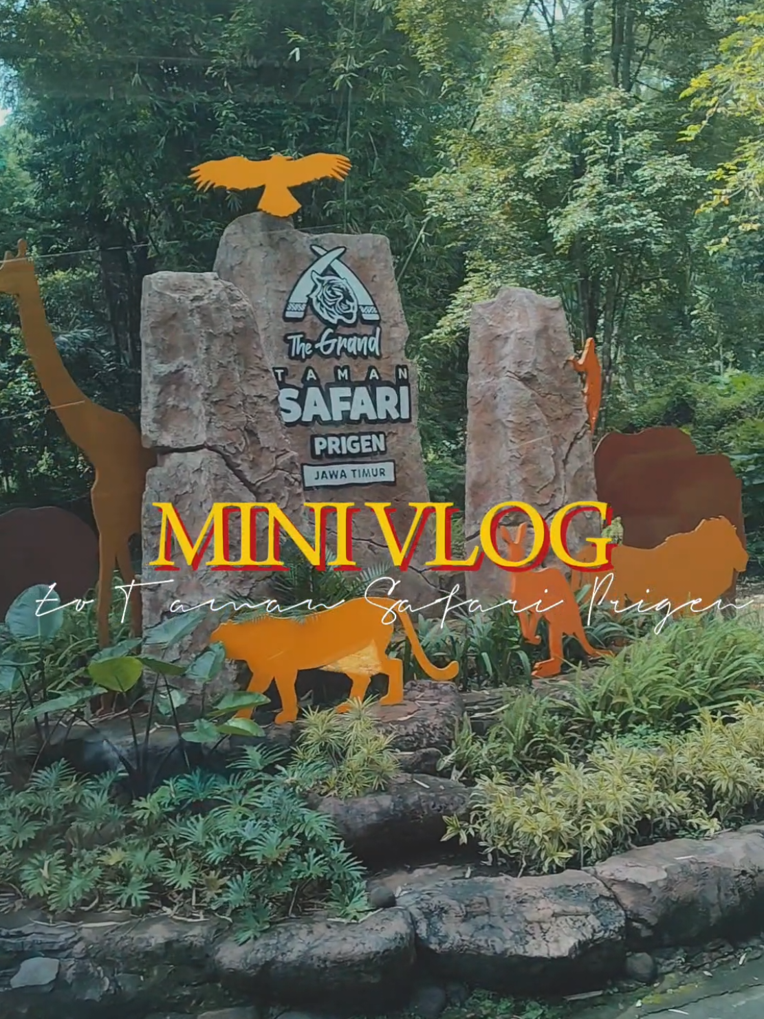 Taman Safari II Prigen Jatim. Indonesia Safari Park II Prigen 🦁 🐯  #Vlog #tamansafari #prigen #jatim #zoo  #fyp #4u 