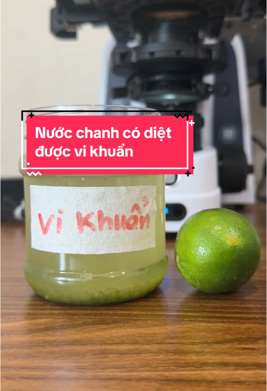 Nước chanh có diệt được vi khuẩn như bạn nghĩ . Cùng xem dưới kính hiển vi nhé #nuocchanh #kinhhienvi #xuhuongtiktok #leanontiktok #khoahoc 